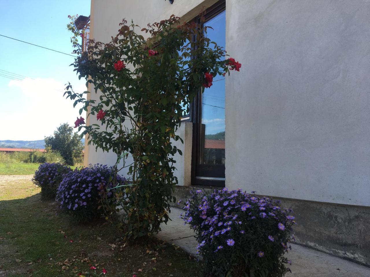 Apartamento Zvezdica Bajina Basta Exterior foto