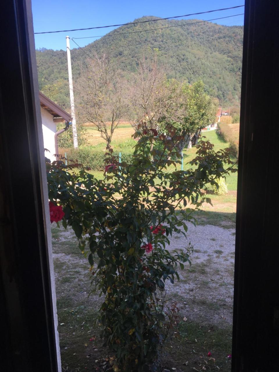 Apartamento Zvezdica Bajina Basta Exterior foto